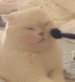 你一定要知道的化妆刷,美妆刷和化妆刷有什么区别