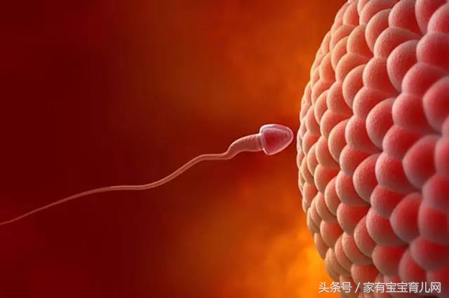 受精卵着床成功只需要11天，准妈妈的身体会发生这些奇妙变化！