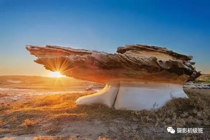 新手学摄影入门视频教程,摄影入门速成30个基本技巧