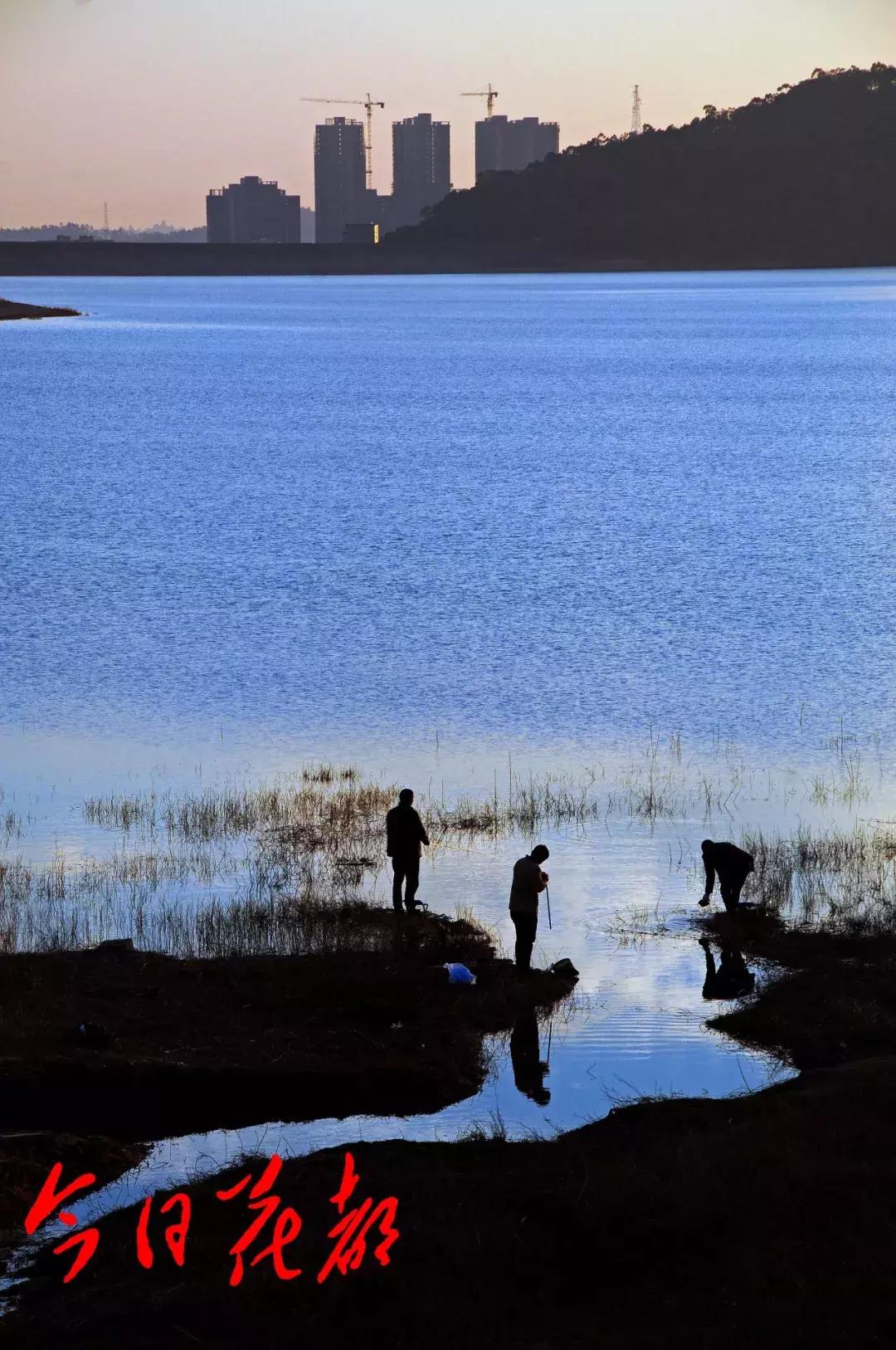花都芙蓉嶂旅游景点,花都芙蓉嶂夜景