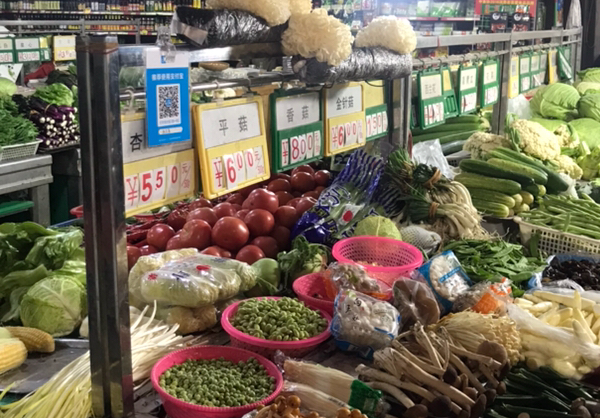 支付宝扫码领红包收益,支付宝红包码赚取现金