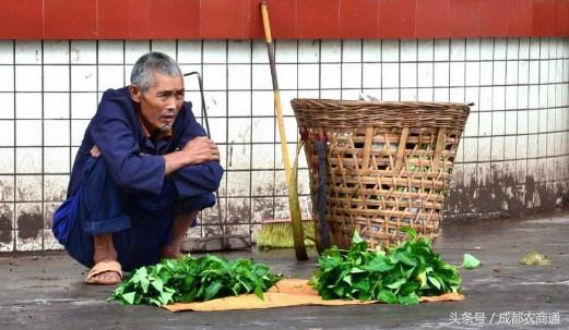 农产品供应链怎么找销售渠道,农产品渠道销售好做吗