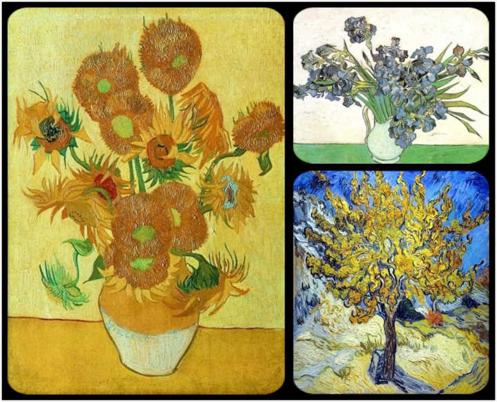 高品质的美缝,2021曼陀罗艺术美缝