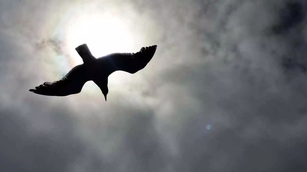 少侠,我这里有本创业干货秘籍,见你有缘就免费赠你了