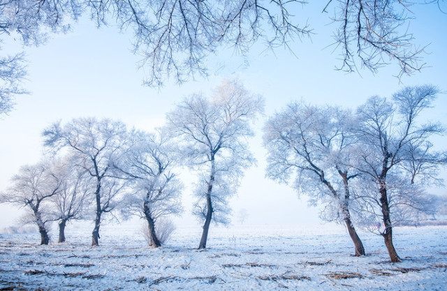 2018上半年，据说会玩的人都在合适的时间去这些美腻的地方了！