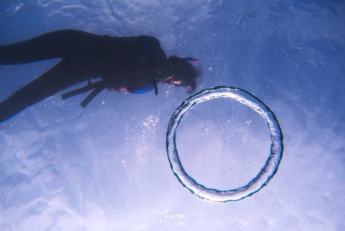 【一只熊的冒险】薄荷色夏日梦，马来西亚沙巴亚庇仙本那历险记——敦沙卡兰海洋公园（完）