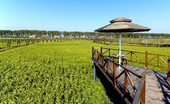 沈阳最漂亮的十大美人,沈阳女孩最漂亮的照片