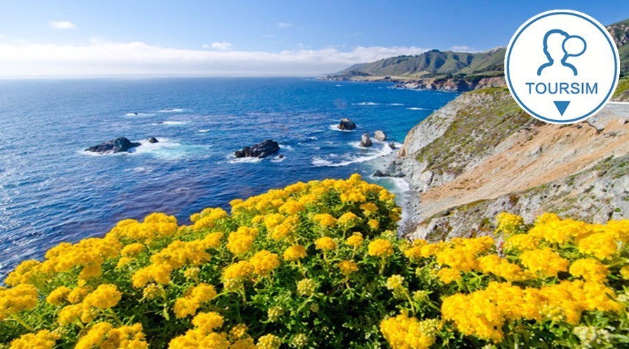 让我终生难忘的美国1号公路|业者专访：加州蒙特雷