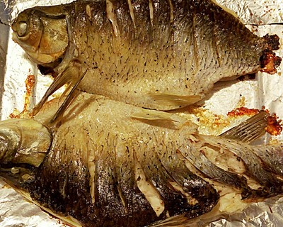 模仿成都滋味烤鱼的…烤鱼