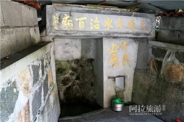 想喝上一杯好茶，绝对不能少了它|春日茶事1