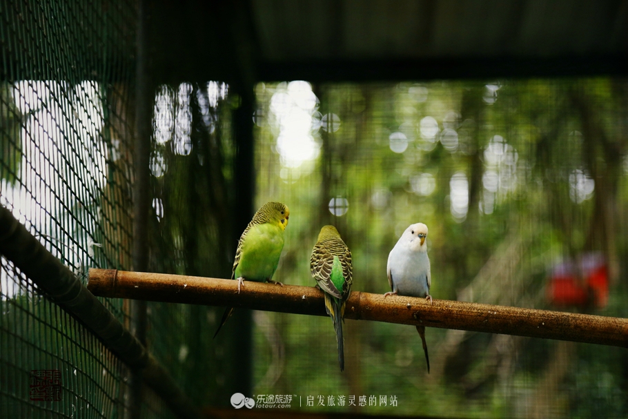 观澜湖简介,深圳观澜湖一整圈有几公里