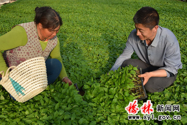 大学生创业项目推荐小本生意,大学生互联网创业新点子100个