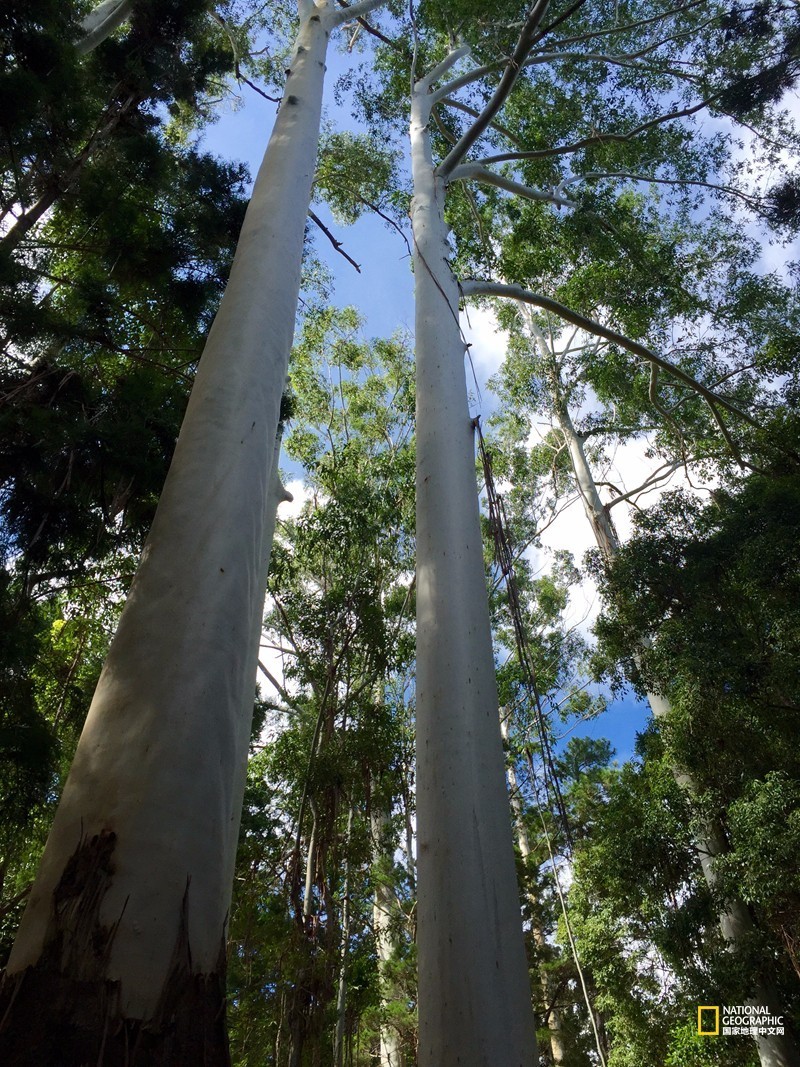 FraserIsland|快来全世界最大的沙岛上撒把野