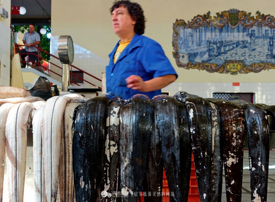 岛王简介50字,岛王发言