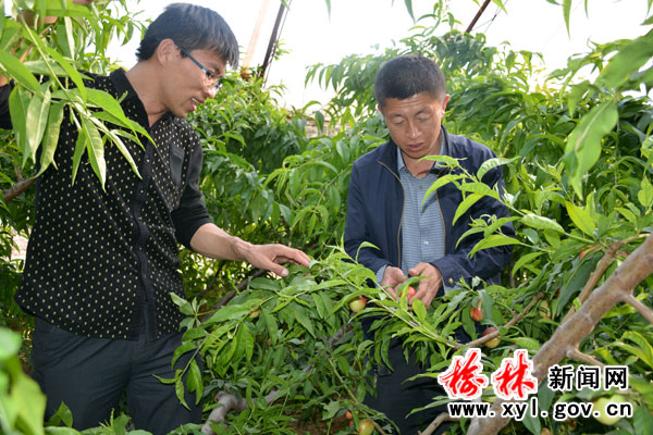 大学生创业项目推荐小本生意,大学生互联网创业新点子100个