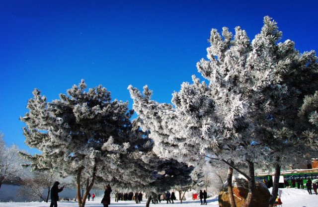 2018上半年，据说会玩的人都在合适的时间去这些美腻的地方了！