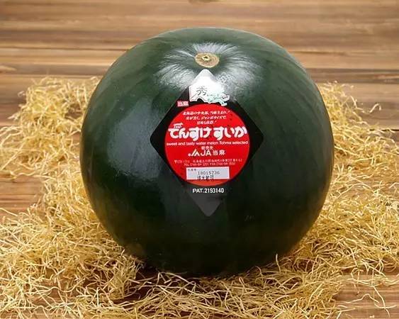 “果中爱马仕”!宁波这种本地桔子,店里一只卖20元!