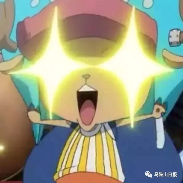 2019马鞍山百强企业,马鞍山100强企业排名