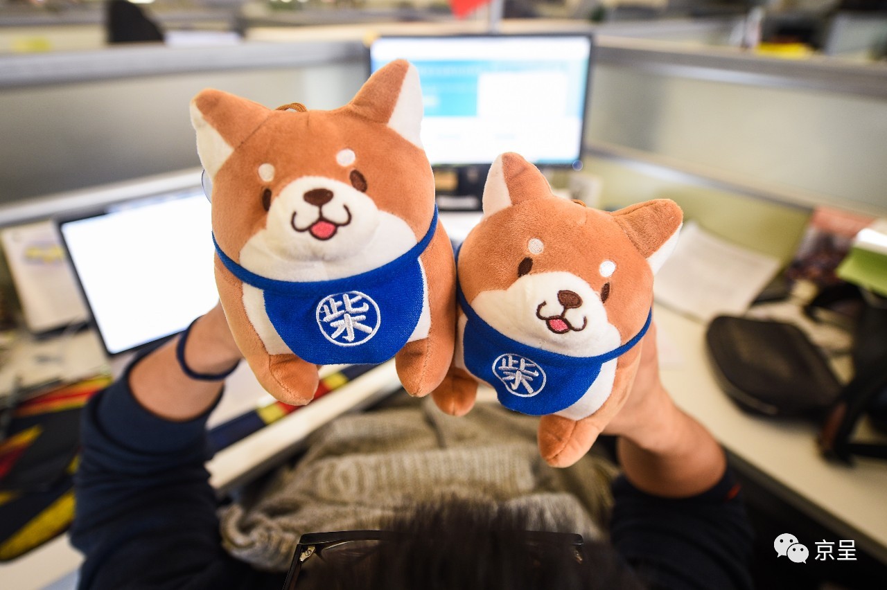 鹈鹕树懒食蚁兽?北京这家非主流玩偶店教你认认新萌物