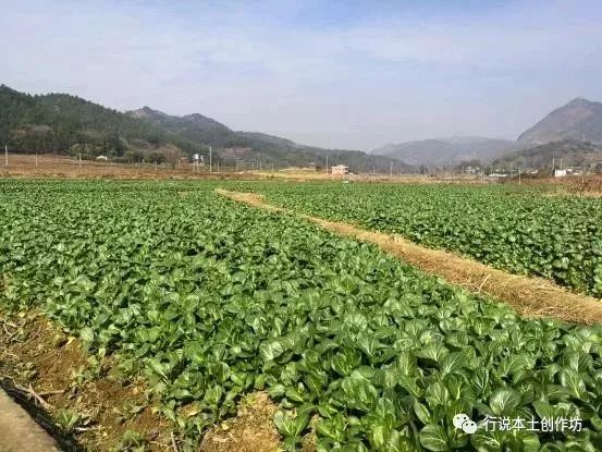 清远大山自然美景,清远的大山风景优美句子