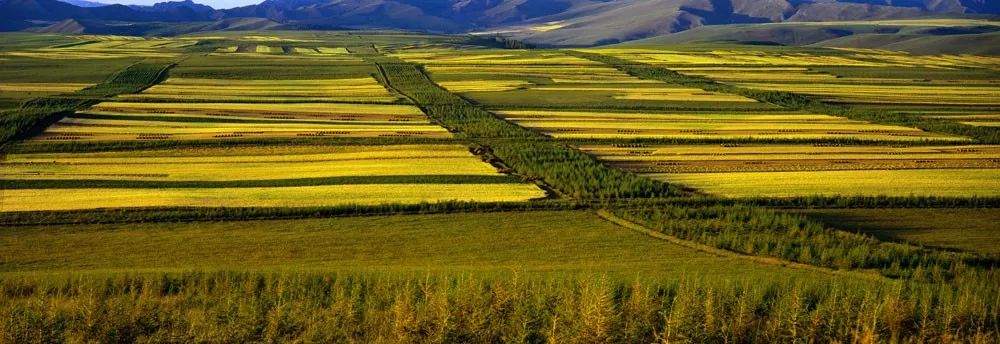 内蒙古日报头条重要内容是什么,内蒙古最新日报消息