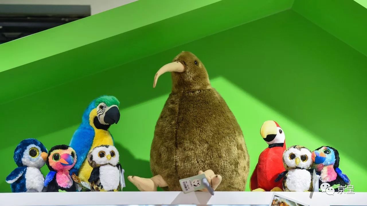 鹈鹕树懒食蚁兽?北京这家非主流玩偶店教你认认新萌物