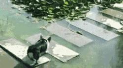 囧叔吐槽,囧吐槽