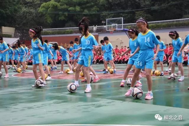 爱体育看体育赛,柳师附小运动会