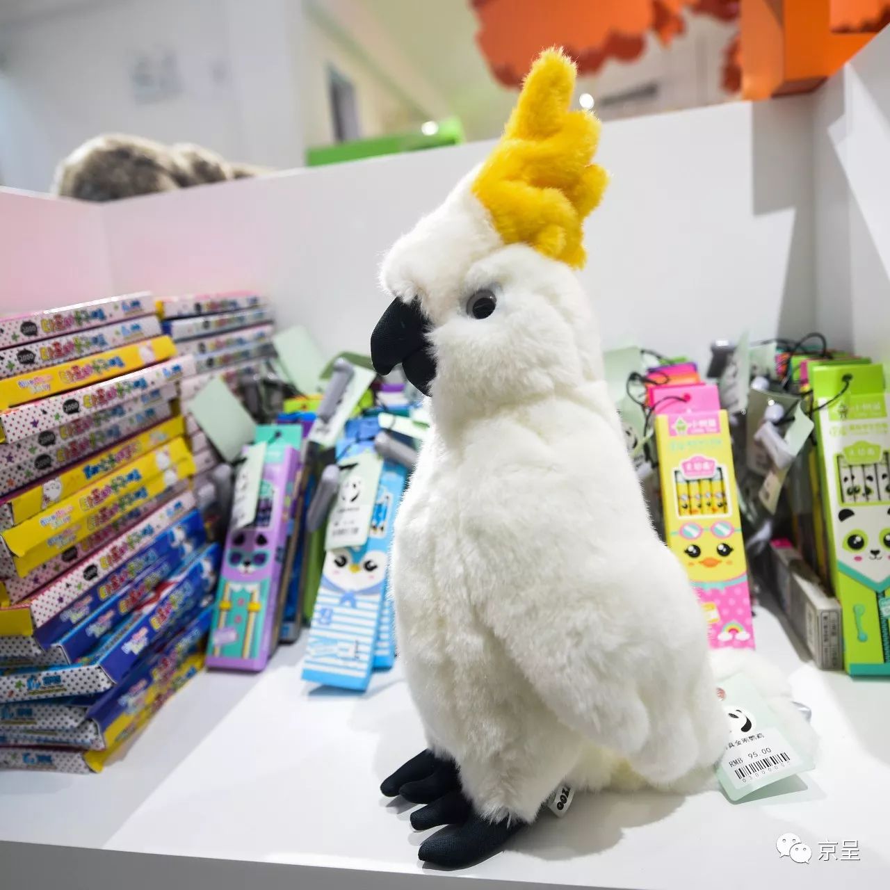 鹈鹕树懒食蚁兽?北京这家非主流玩偶店教你认认新萌物