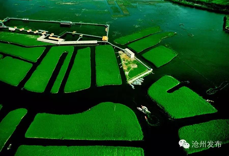 城在林中人在景中,城在园中人在景中