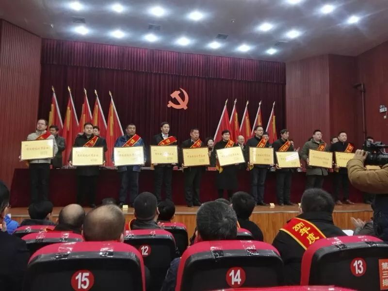 受到镇党委政府的表扬,我县一批集体和个人获表彰新闻