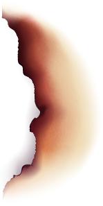 香港好吃的蛋挞,在香港吃蛋挞不用钱只需一招