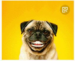 lv仿品和真品一样为啥还要买真的,为啥两三百的lv仿的也挺真