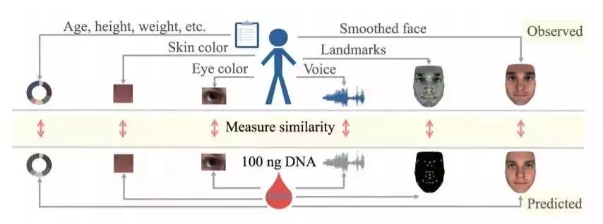 基因检测—从交友到生娃的遗传学应用