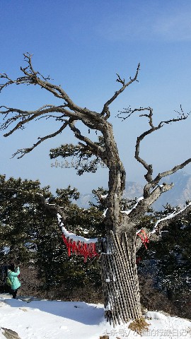 华山奇险一日游,天险华山旅游攻略