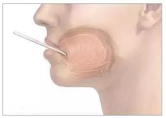 专家提醒备孕要趁早,医生指导科学备孕要多久