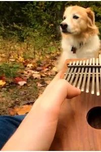 今晚深圳有什么活动,最近深圳周末有什么活动吗