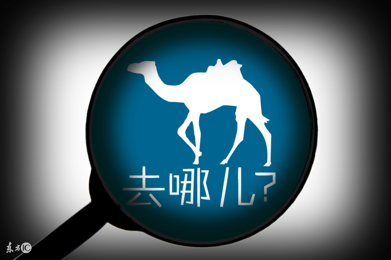 网上买机票用哪个平台最可靠,买机票是官网便宜还是app便宜