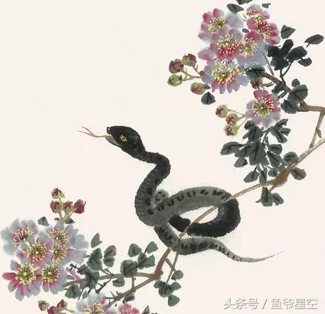 生肖蛇在虎年有哪些吉星,2018年属相蛇每月运势详解