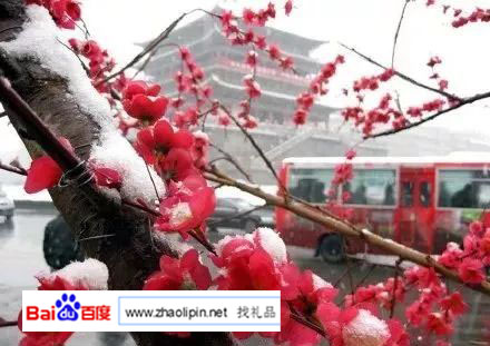 朋友圈晒雪,朋友圈晒雪景大赛