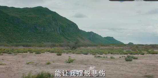 泰国神广告系列,泰国神广告又掀热潮