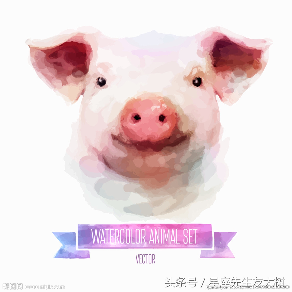 2018狗年戊戌十二生肖运势详解,戊戌日十二生肖运势