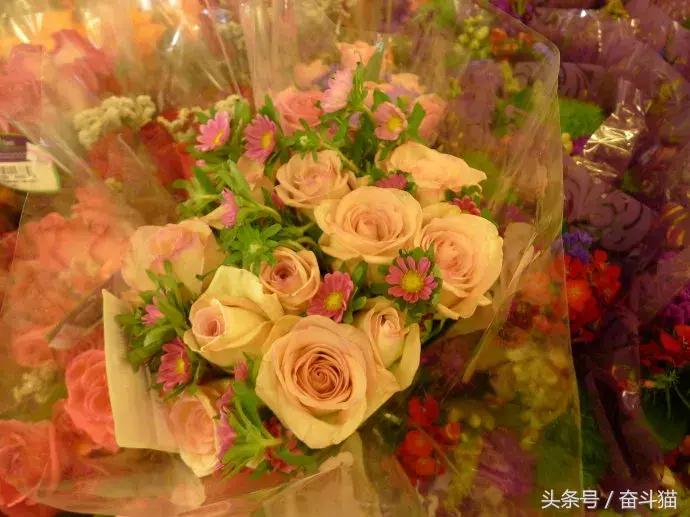 奋斗猫：作为O2O最重要的一环，“跑腿”这块肥肉该怎么吃？