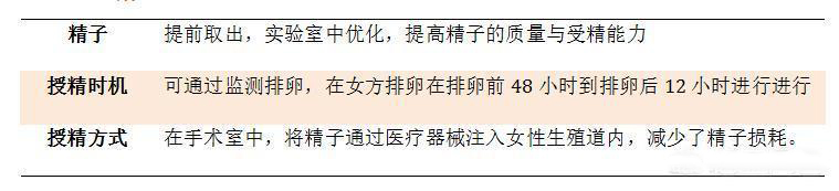 人工授精和试管婴儿成功率有多大,人工授精与试管婴儿成功率