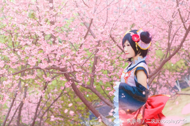 新的一年你是选择看樱花，还是超级可爱的妮可呢？