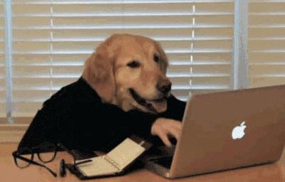 生肖狗21号运程图表图片,生肖狗什么时候赚大钱