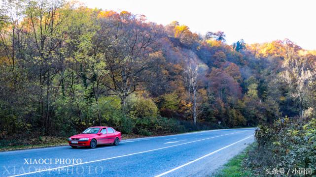格鲁吉亚自由行全攻略,自驾去格鲁吉亚路线