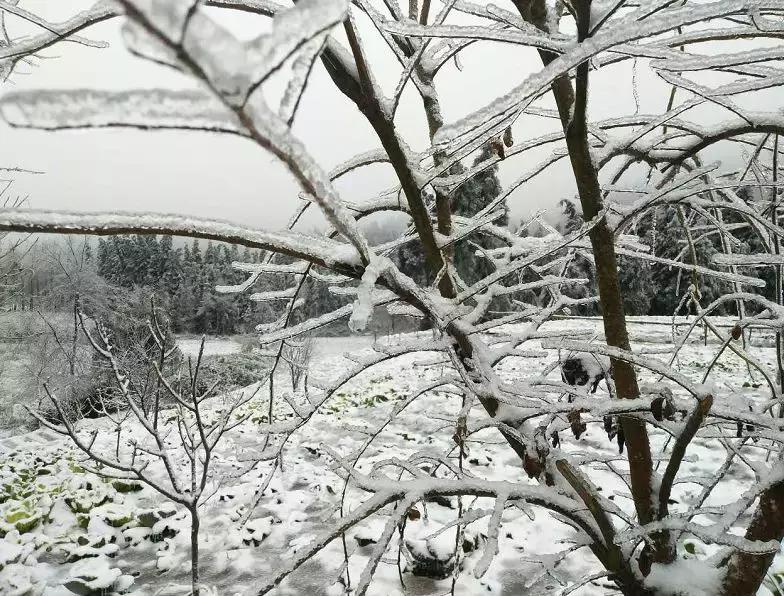利川市冰雪奇缘滑雪场,利川冰雪奇缘滑雪场