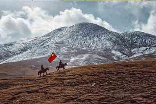 评选结果2017,2017投票总决赛