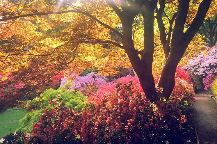用小人的手段打击小人,用小人的办法对付伪君子